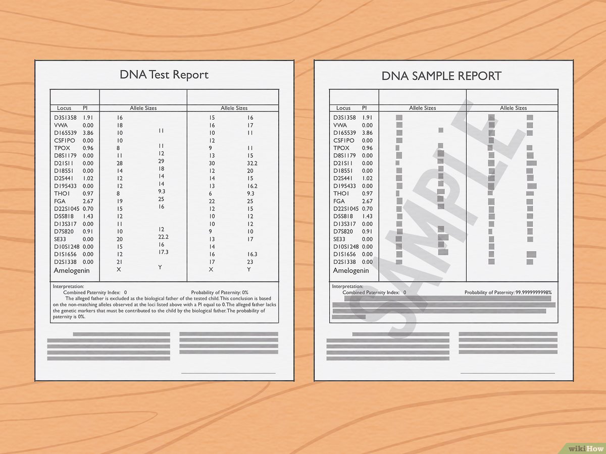 Fake Dna Test Results Template