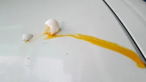 How To Get Egg Stains Off Car