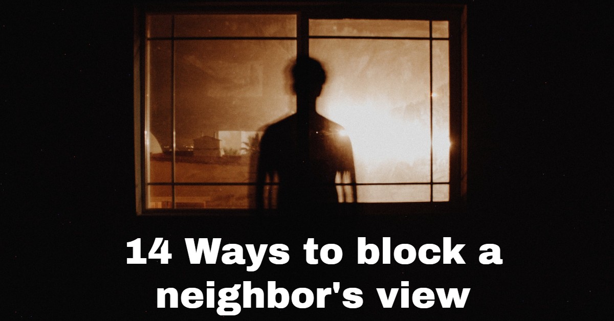 14 Cheap Ways to Block a Neighbor’s View (2023 Guide)