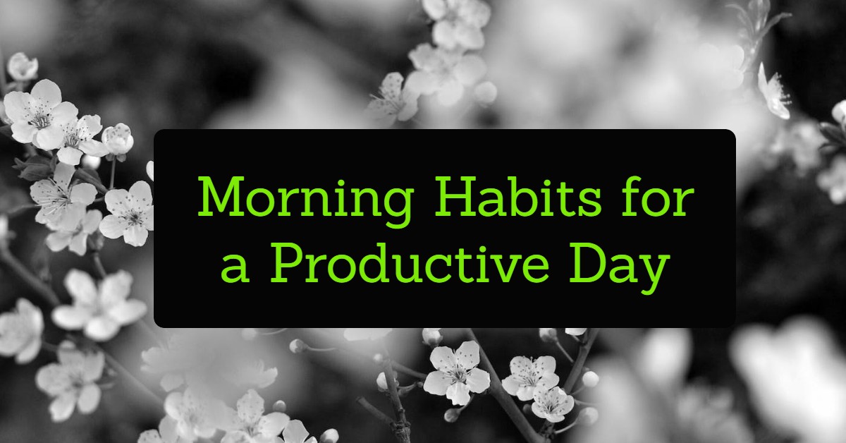 Morning Habits for a Productive Day