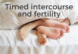 Timing intercourse for conception