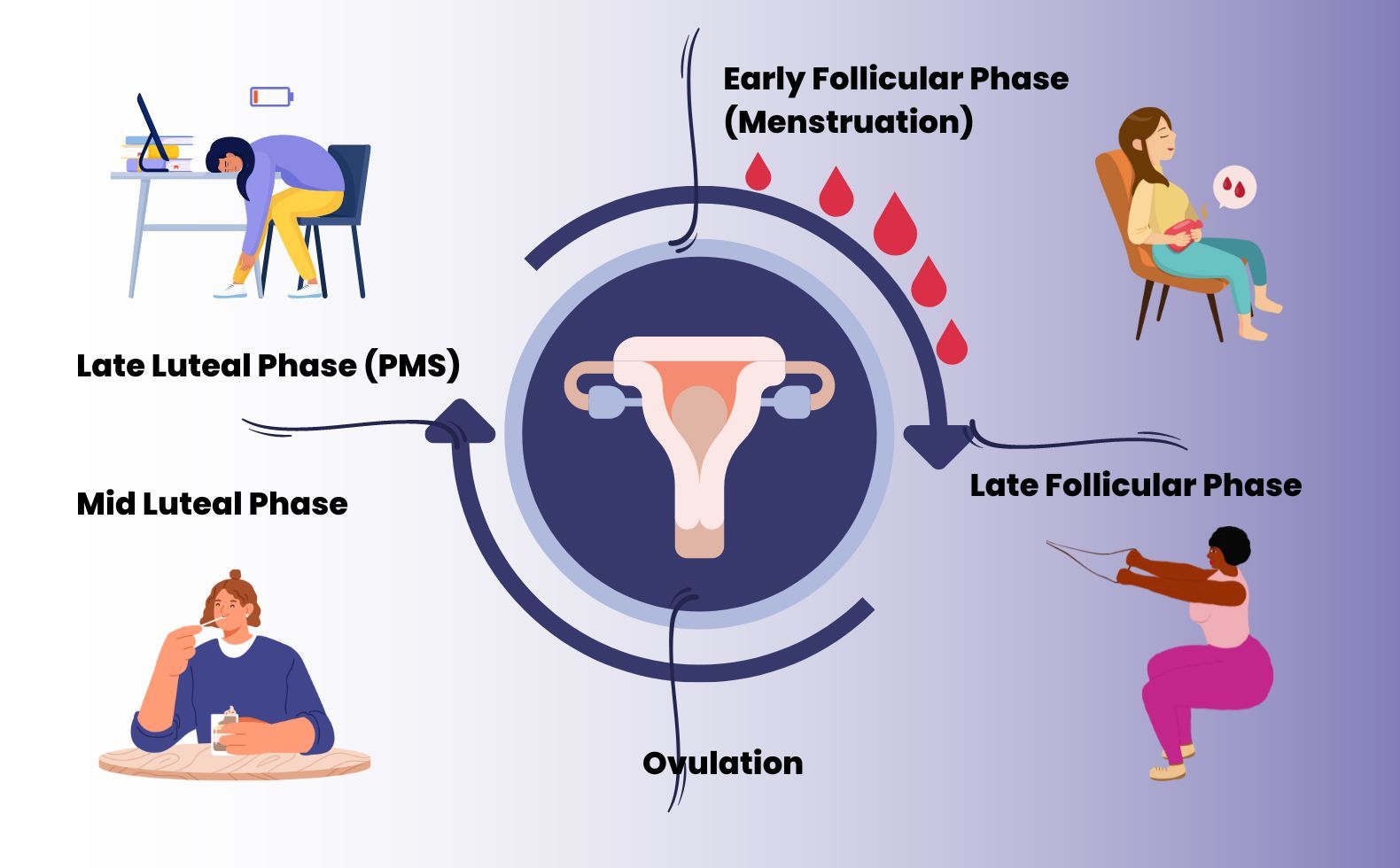 Understanding your Menstrual Cycle