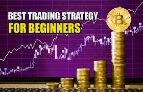 Crypto Trading Strategies For Newbies