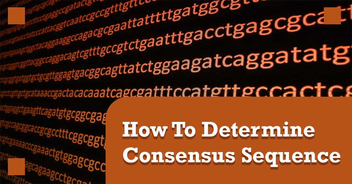How To Determine Consensus Sequence( Step by step)