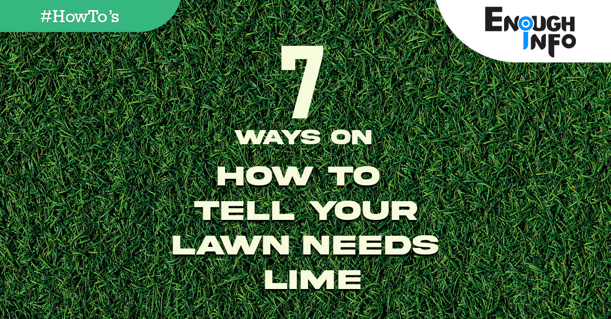 7 Ways On How To Tell Your Lawn Needs Lime
