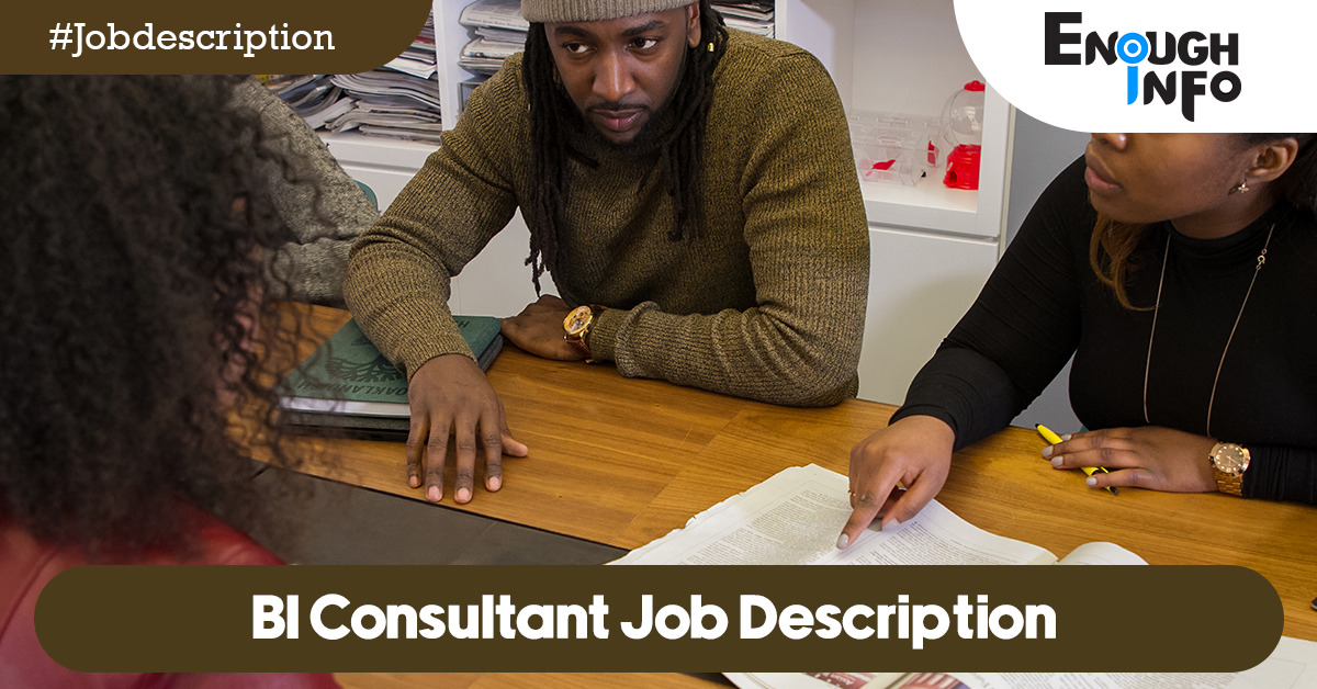 BI Consultant Job Description