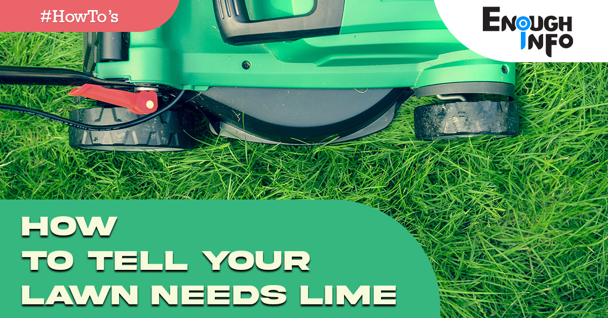 How To Tell Your Lawn Needs Lime
