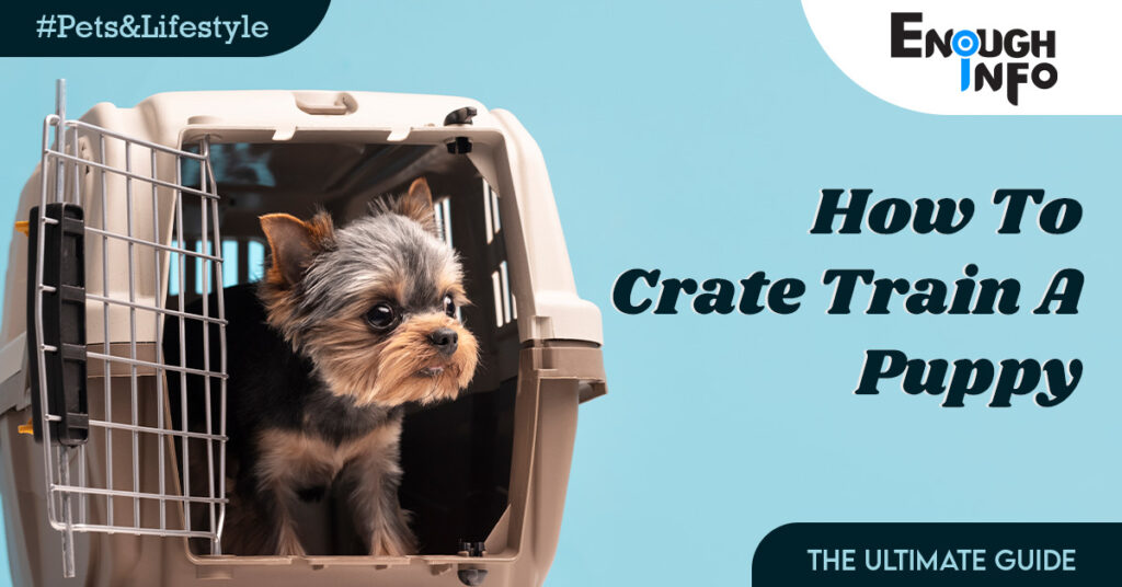 How To Crate Train A Puppy(The Ultimate Guide) EnoughInfo Daily