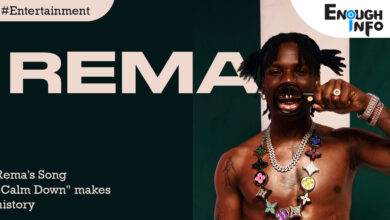 Rema's Song "Calm Down" makes history as the most-streamed African song in the US as the most-streamed African song in the US