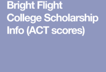 Bright Flight scholarship