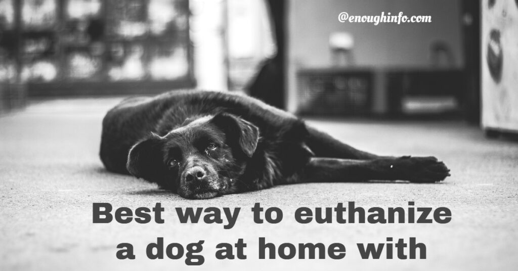Best way to euthanize a dog at home with Benadryl.