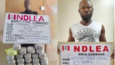 NDLEA arrests wanted kingpin Chadian over London-bound shipment