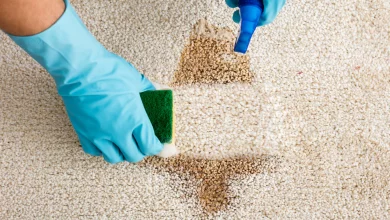 How to get Wet Smell out of Carpet (All You need to Know)