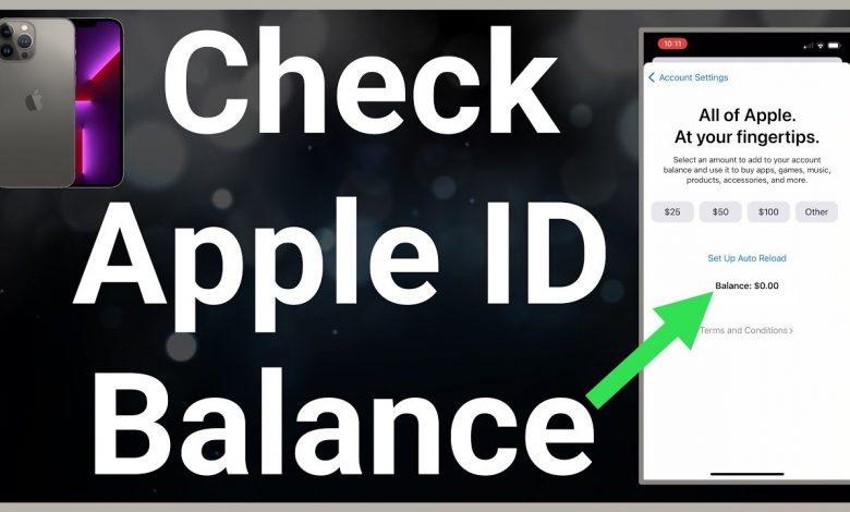 how to check your apple account balance