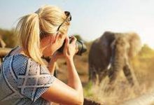 How to become a wildlife photographer ( The Ultimate Guide)