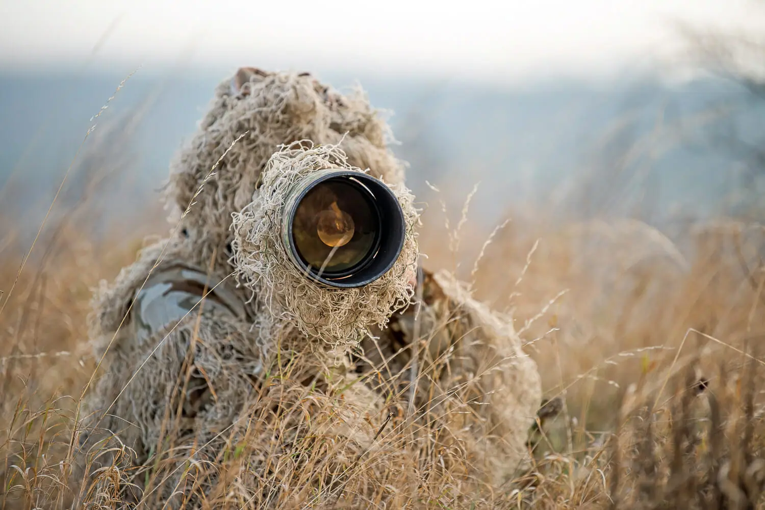 How to become a wildlife photographer ( The Ultimate Guide)