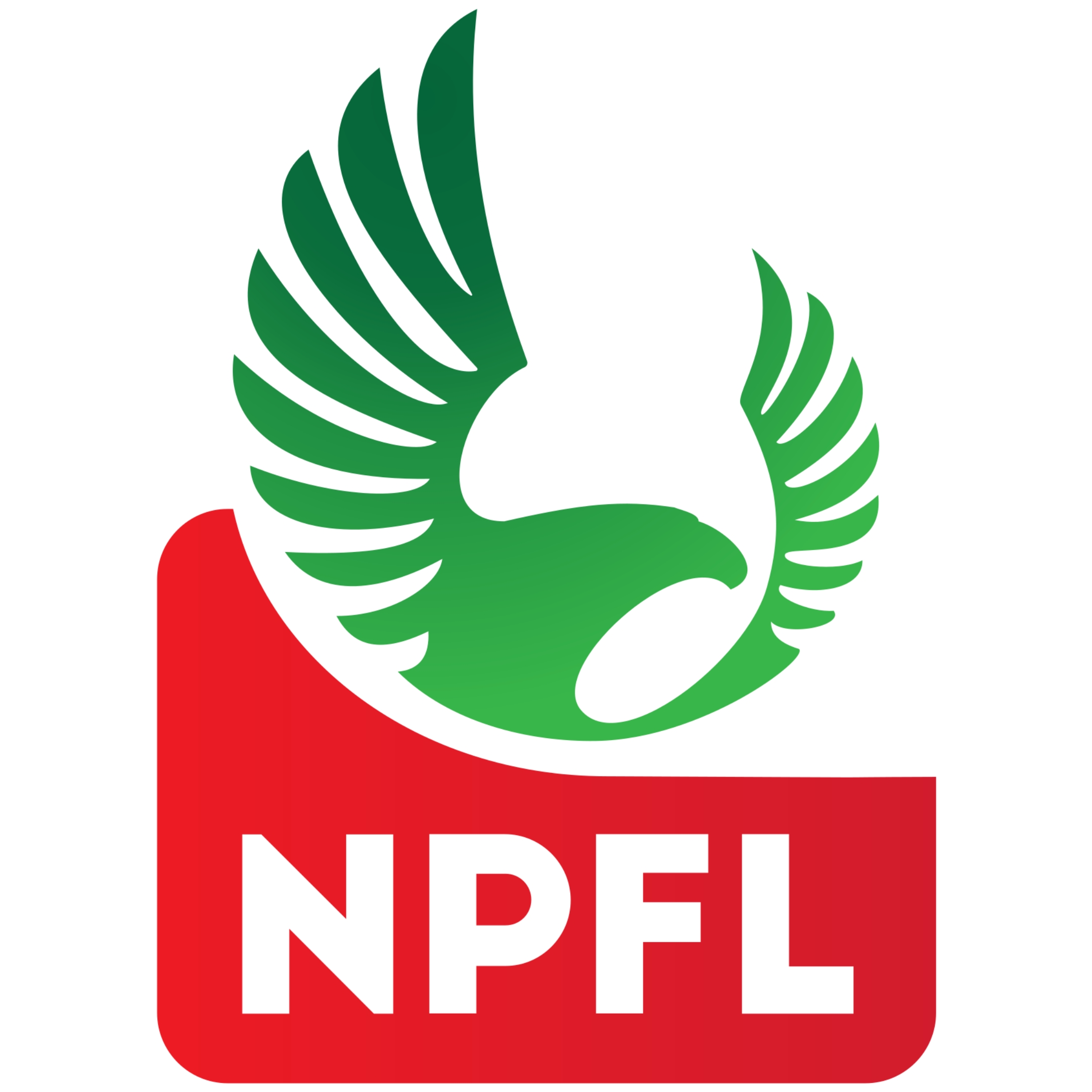 Breaking News: NPFL to bring back Friday night games