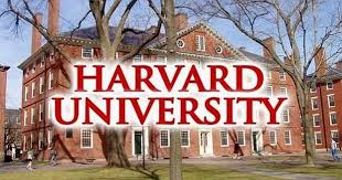 does harvard offer online degrees
